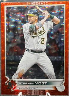 Stephen Vogt