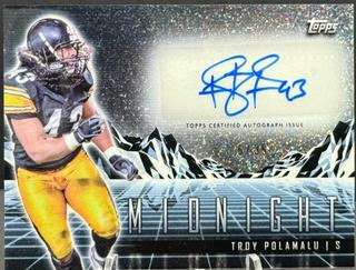 Troy Polamalu