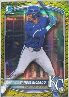 Yandel Ricardo