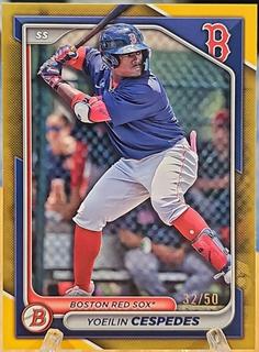 Yoeilin Cespedes