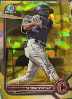 George Springer
