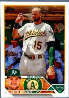 Seth Brown
