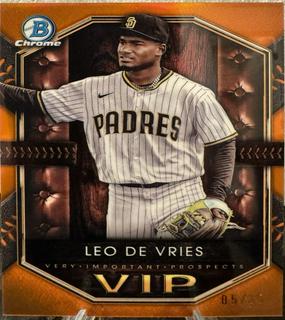 Leo De Vries