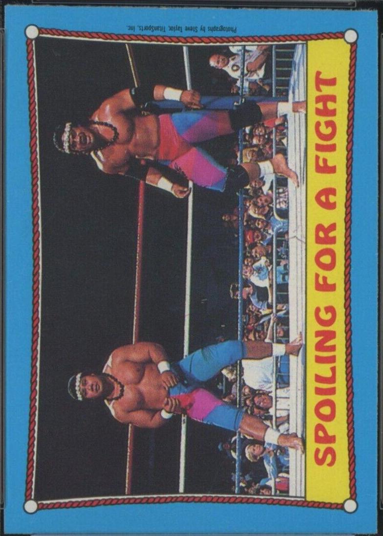 Spoiling for a Fight #28 Wrestling Cards 1987 O Pee Chee WWF