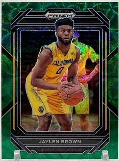 Jaylen Brown