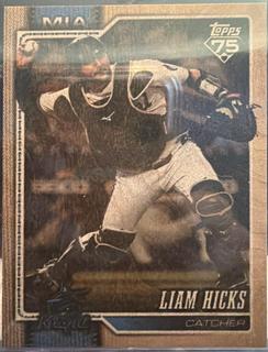 Liam Hicks