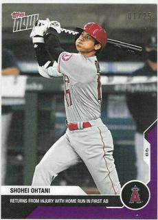 Shohei Ohtani