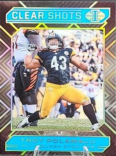 Troy Polamalu