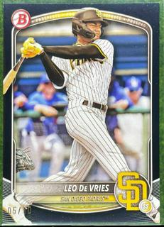 Leo De Vries