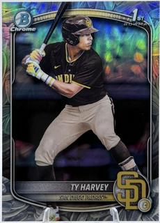 Ty Harvey