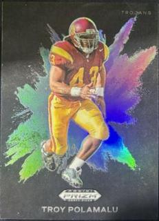Troy Polamalu