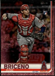 Jose Briceno