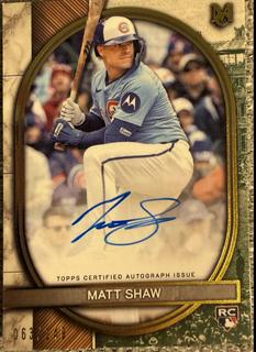 Matt Shaw