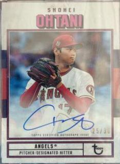 Shohei Ohtani