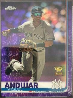 Miguel Andujar