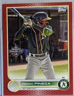 Pedro Pineda