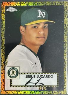 Jesus Luzardo
