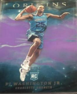 PJ Washington Jr.