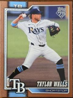 Taylor Walls