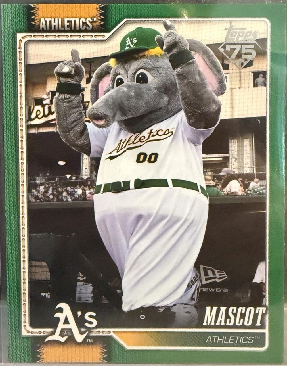 Mascot Athletics [Green] #M-16