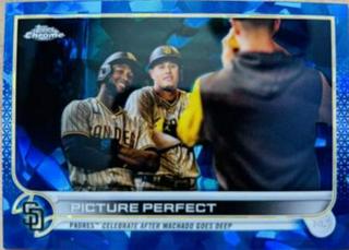 Picture Perfect