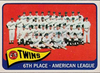 Twins Team