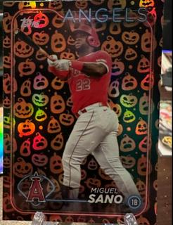 Miguel Sano
