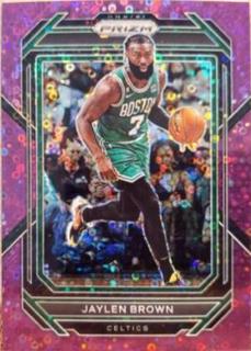 Jaylen Brown