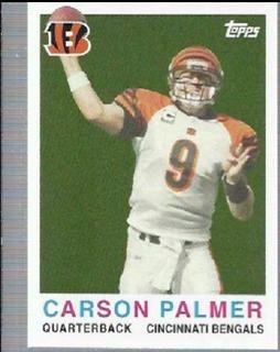 Carson Palmer