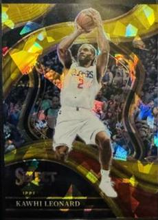 Kawhi Leonard