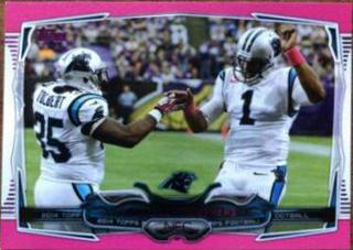Carolina Panthers