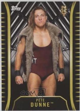 Pete Dunne #R-25 Wrestling Cards 2018 Topps WWE NXT