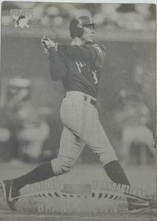 Brant Brown