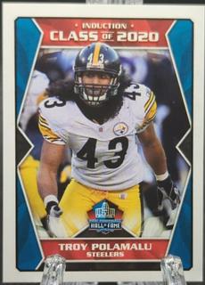 Troy Polamalu