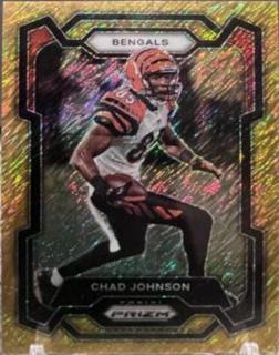 Chad Johnson