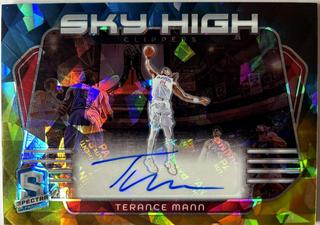 Terance Mann