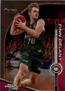 Finn Delany