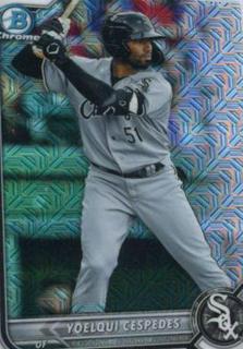 Yoelqui Cespedes