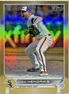 Liam Hendriks