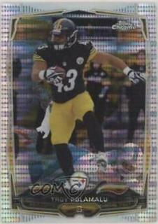 Troy Polamalu