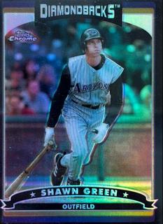 Shawn Green