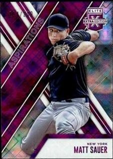 Matt Sauer