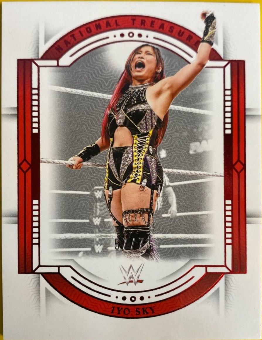 女子プロレス WWE イヨスカイ IYO SKY 直筆サイン入りフォトフレーム