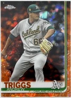 Andrew Triggs