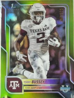 Terry Bussey