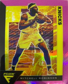 Mitchell Robinson