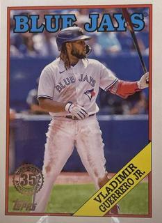 Vladimir Guerrero Jr.