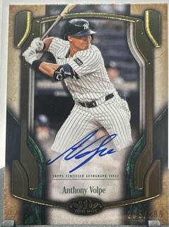 Anthony Volpe