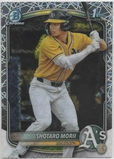 Shotaro Morii