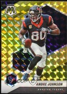 Andre Johnson